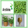 Rohstoffe Centella Asiatica Urban, Natürlicher reiner Centella asiatica Extrakt mit Asiaticosid